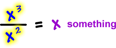 ( x^3 ) / ( x^2 ) = x something